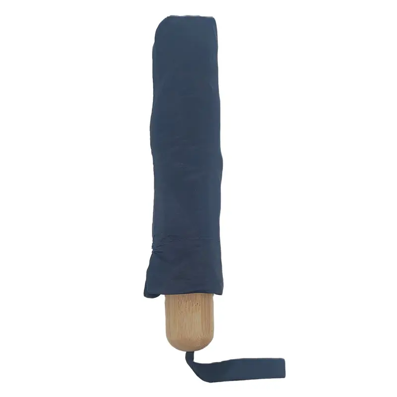 Collapsed Umbrella.webp
