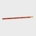 Terrific Kids Pencils - Packs of 100