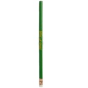 Bringing Up Grades (BUG) Pencils - Pack of 100