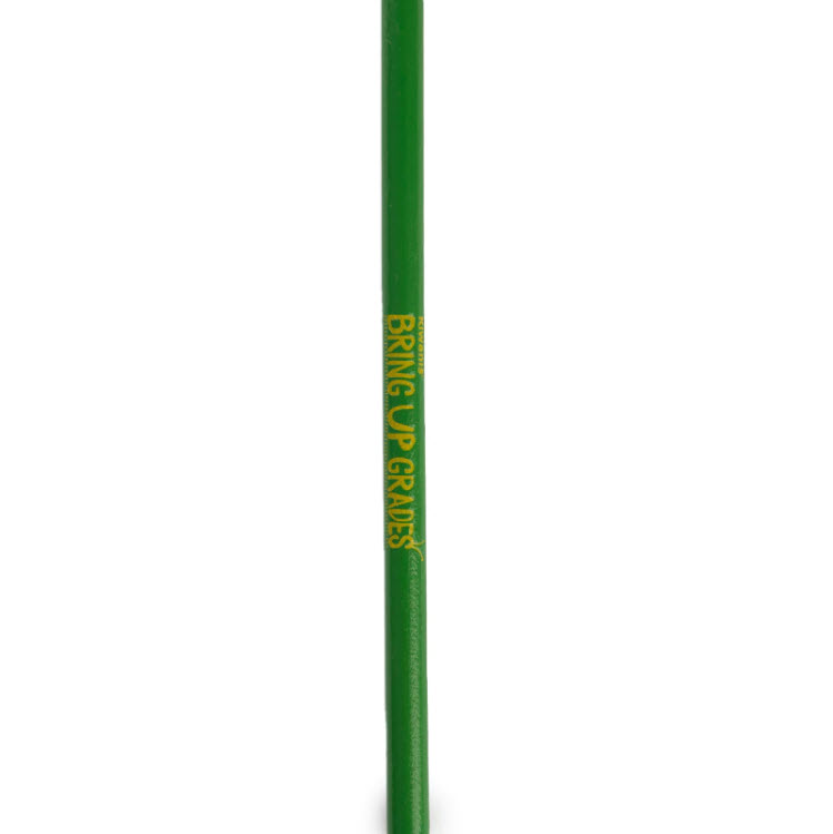 Bringing Up Grades (BUG) Pencils - Pack of 100