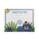 Bringing Up Grades (BUG) Honor Roll Certificates - Pack of 100)