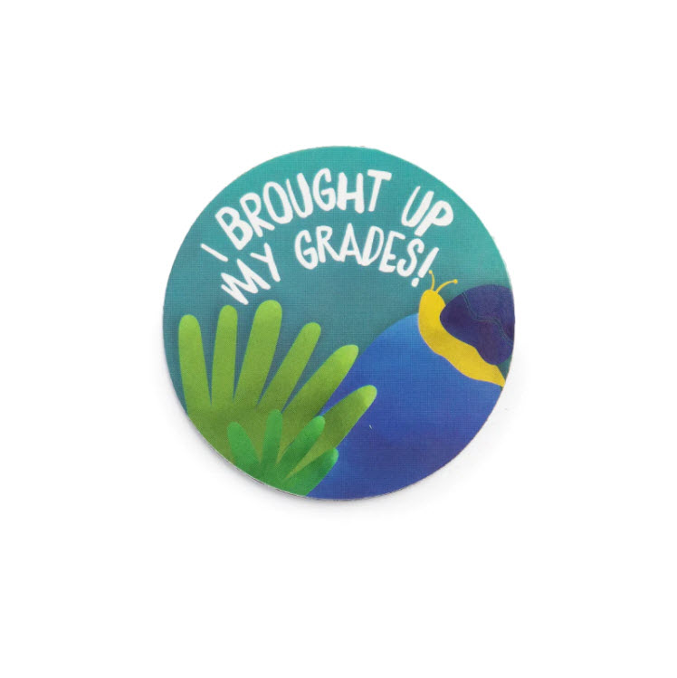 Building Up Grades (BUG) Magnet - Pack of 10