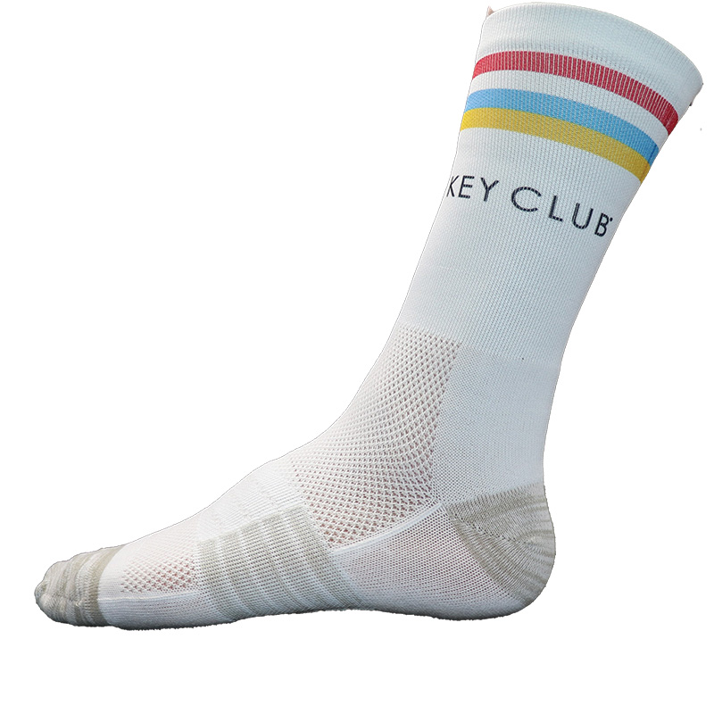 Key Club Stripe Socks