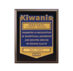 [KIW-0313] Recognition Award