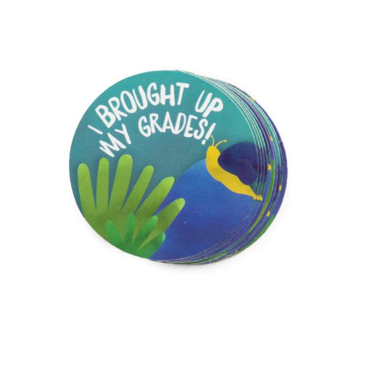 Bring Up Grades (BUG) Magnet - Pack of 10